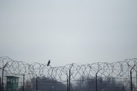 Bundesamt stellt individuelles Asylrecht infrage
