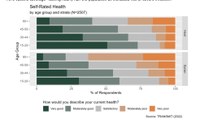 Kurzbericht: MERGE X TRANSMIT Data Brief #3 – Healthcare Access Crisis in Lebanon